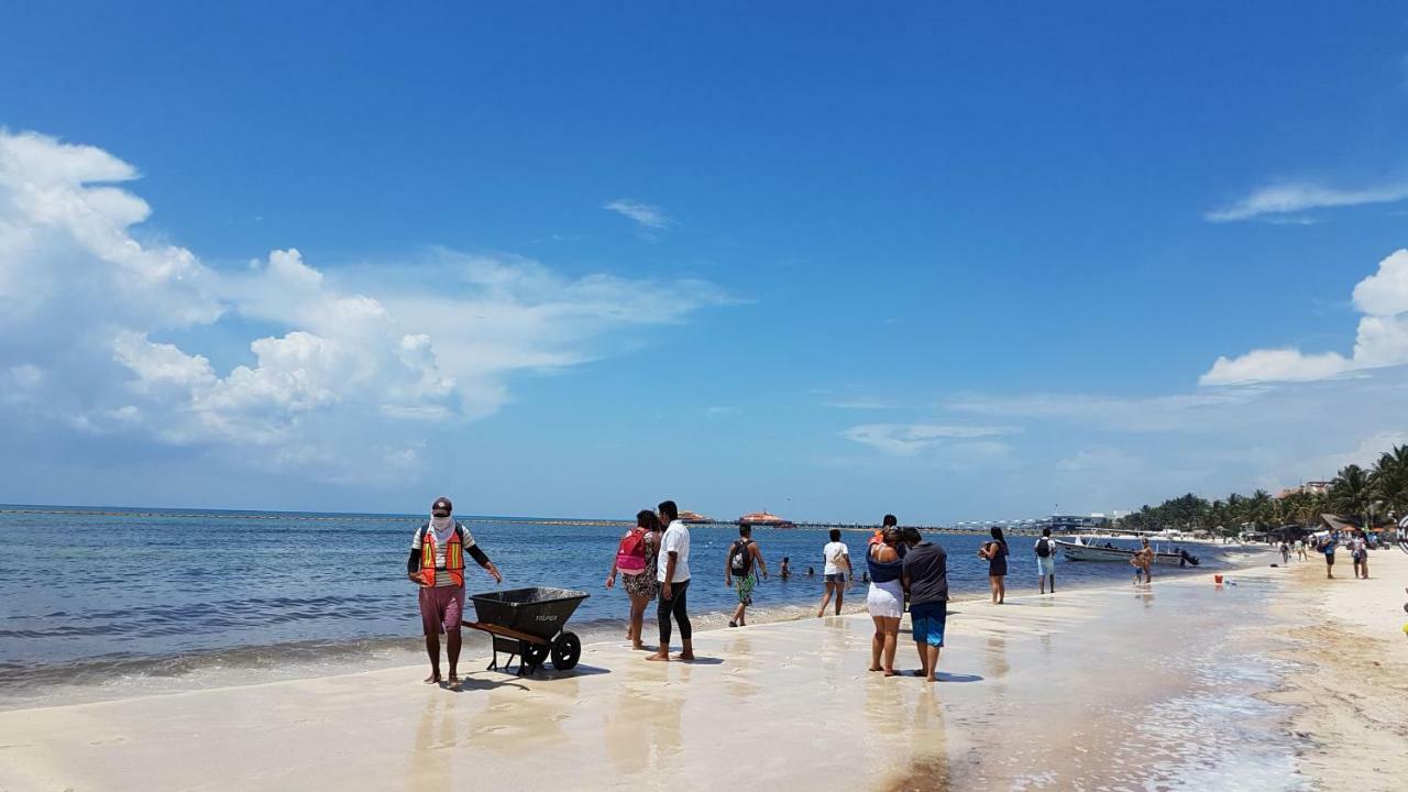 מלון פלאייה דל כרמן Costa Del Mar מראה חיצוני תמונה